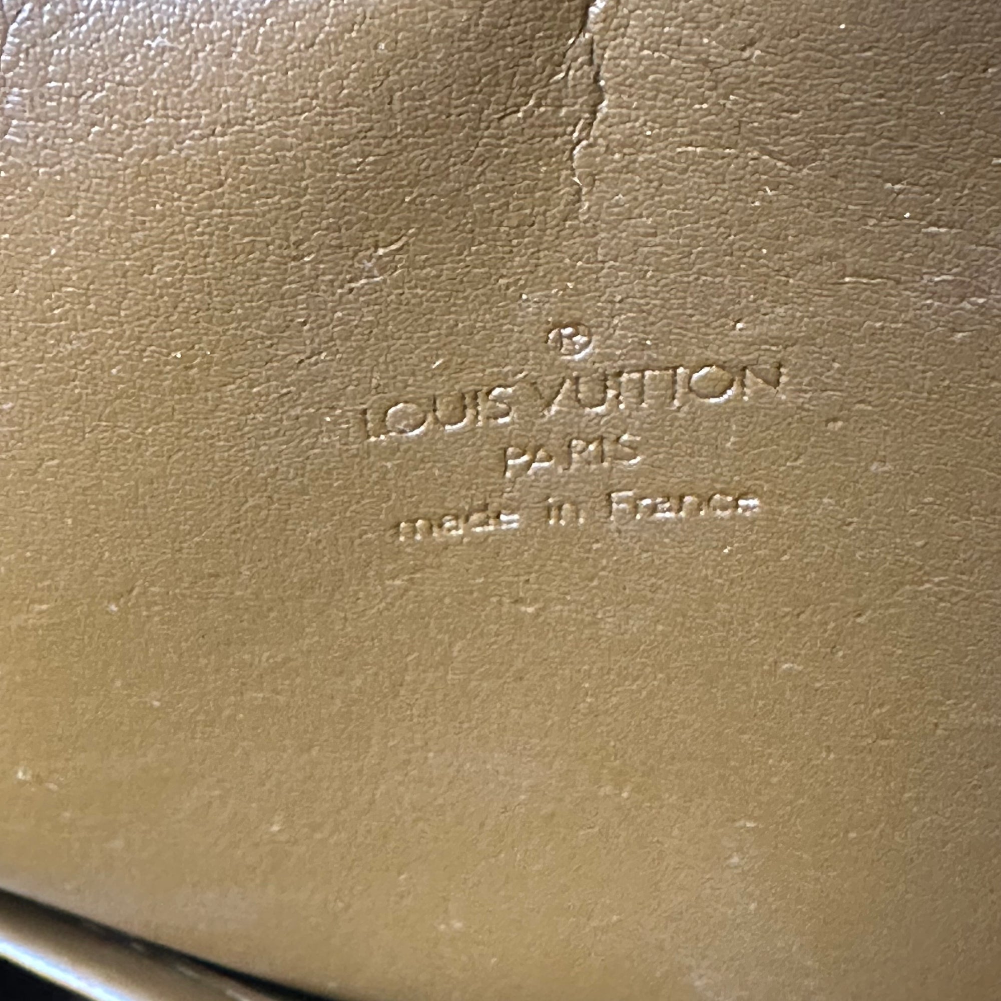 louis vuitton 2000s vernis bag