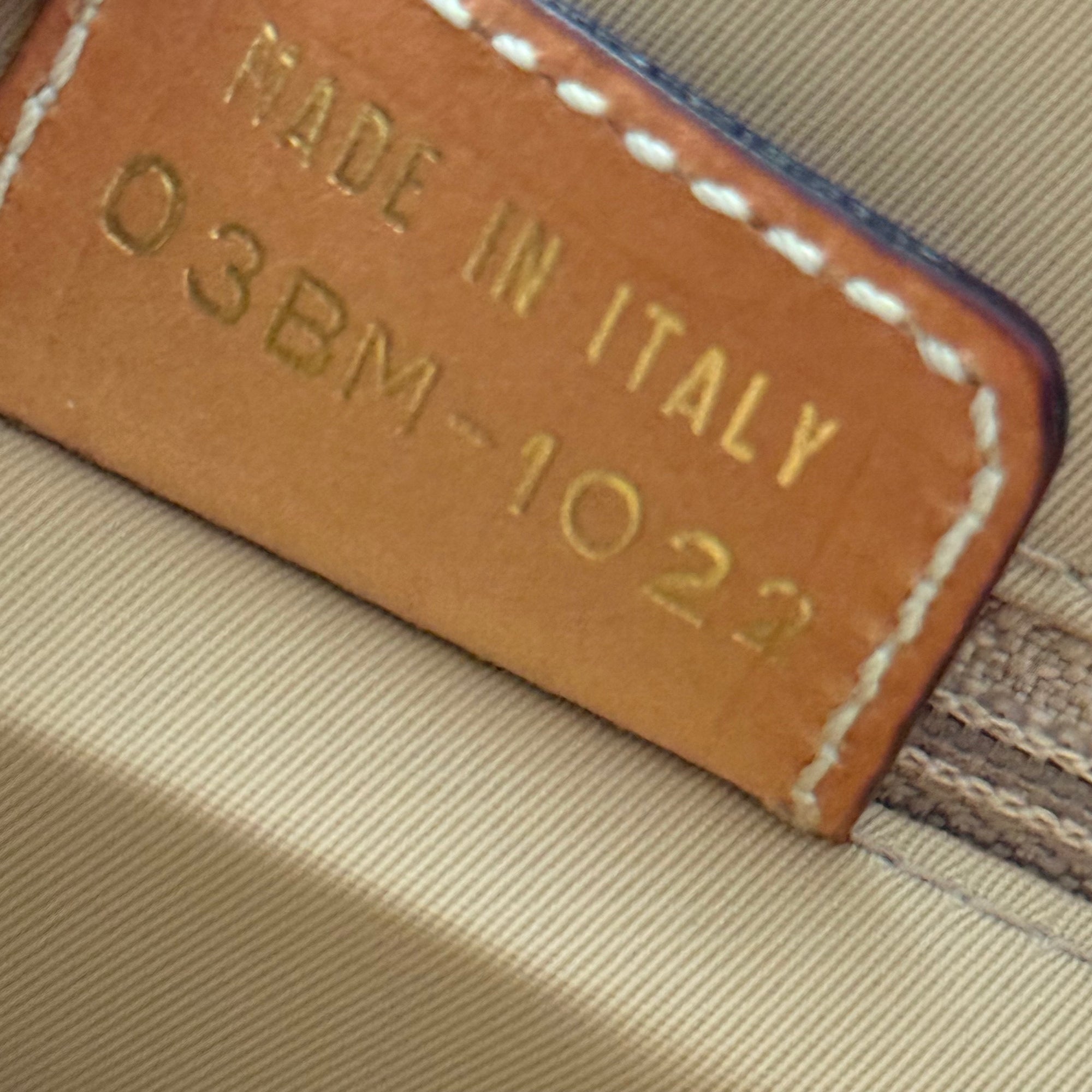 christian dior 2000s trotter bag