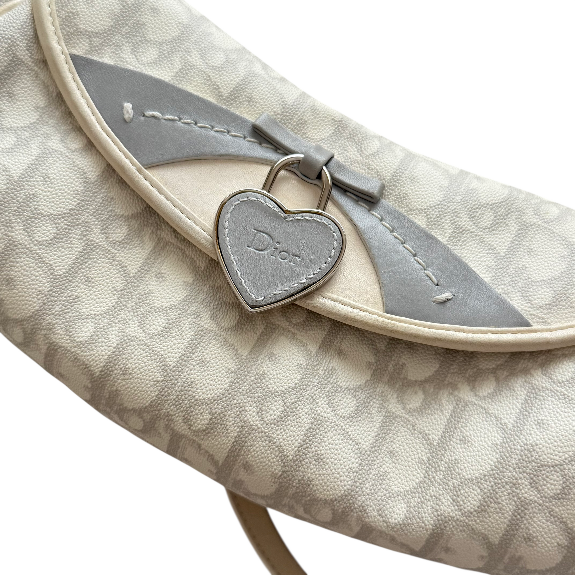 christian dior 2000s trotter bag