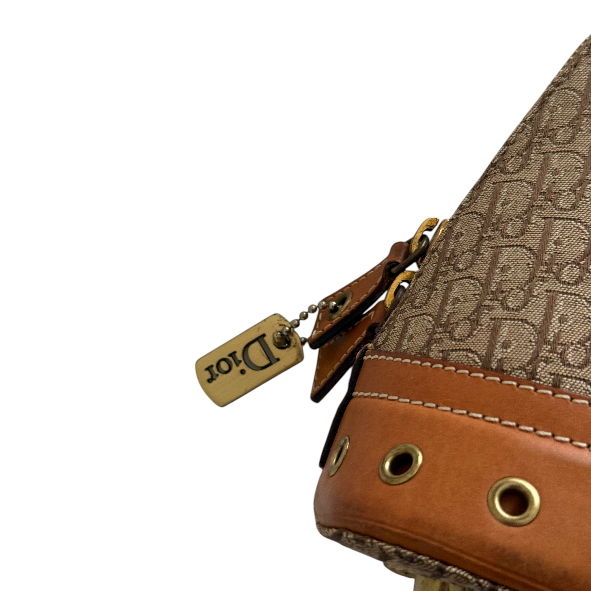 christian dior 2000s trotter bag