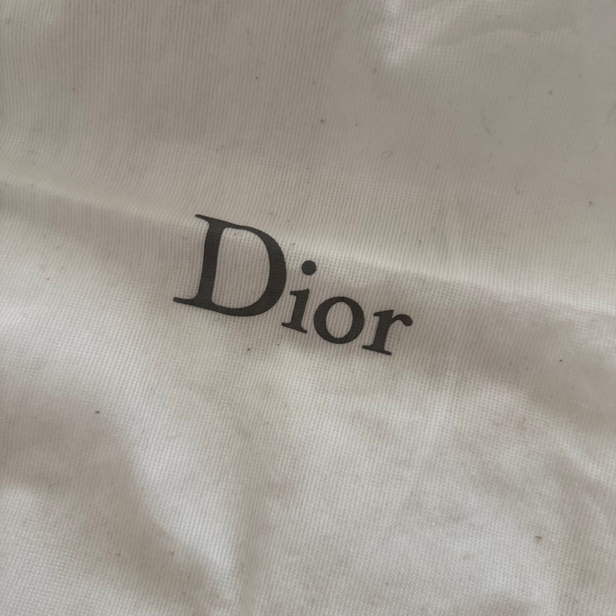 christian dior 2000s trotter bag
